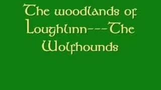 The woodlands of Loughlinnsung by The Wolfhounds [upl. by Alegnat]