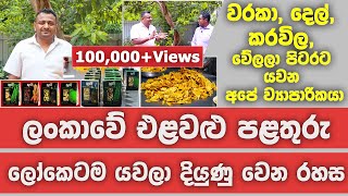 ලංකාවේ එළවළු පළතුරු ලෝකයටම යවලා දියුණුවෙන රහස  Best dehydrated products from Sri Lanka [upl. by Lidah]