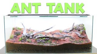 How to Build an Ant Farm  Natural Formicarium [upl. by Klarika564]