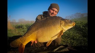 Carp Team Ahaus  Session Blog 24  Alex am Etang du Moulin in Vergaville [upl. by Pelagias]