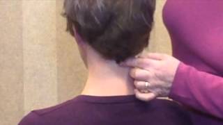 Upper Cervical Mobility Testing AA Joint  Ann Porter Hoke [upl. by Vyky]