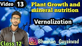 Vernalization  Part 13  Plant growth and mineral nutrition  class 12 [upl. by Ylerebmik]