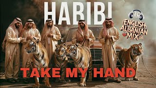 Habibi Take My Hand  DJ GimiO × Habibi SlowedReverb English amp Albanian  MS Chadha [upl. by Frear615]