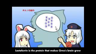 Touhou  Chirumiru Cirno  English sub 1080p  60fps [upl. by Bazil]