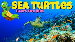 Sea Turtle Facts For Kids  World Sea Turtle Day [upl. by Juline]