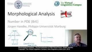 MOR106  Morphological Analysis PDE [upl. by Avery]