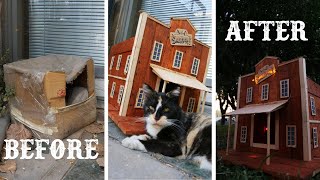 This Stray Cat Find a Home with a Cooling System and Lights [upl. by Nigle742]