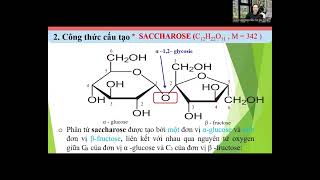 BÀI 4 SACCHAROSE HOA12 nguyenthiantuyetphunuhanhphuccanhdieuketnoitrithuchocnuahocmaiphepmau [upl. by Yoho]