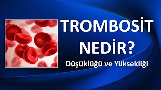 TROMBOSİT NEDİR [upl. by Hnil232]