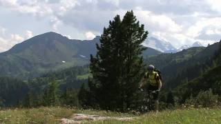 Canyon Nerve XC 2011  english subtitles [upl. by Freida]