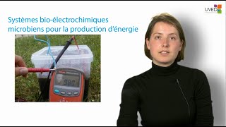 Systèmes bioélectrochimiques microbiens pour la production dénergie [upl. by Leanatan879]