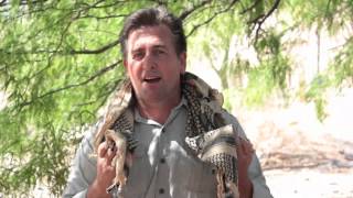 How to Tie A Shemagh Scarf with NatGeo s Doomsday Prepper Tim Ralston [upl. by Rehpotsyrk]