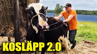 KOSLÄPP 20 [upl. by Ced]