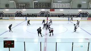 Silverstick RR game 4 vs STRATHROY [upl. by Applegate839]