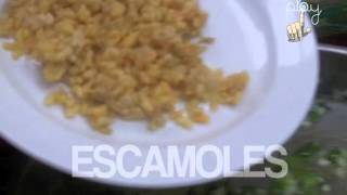 Gastronomía Receta Escamoles a la mantequilla [upl. by Leilah229]