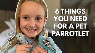 6 Things You Need For a Pet Parrotlet [upl. by Nyladnohr]