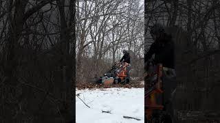 Worky Quad SSQ and Forax Mulcher cleaning up those overgrown thorn and vine areas Shorts [upl. by Petromilli]