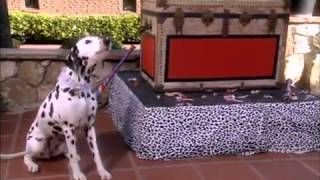 Songs Pongo Perdita 101 Dalmatiers [upl. by Acirfa]