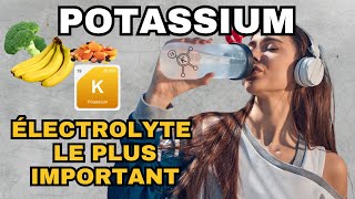 Potassium  lELECTROLYTE le plus important pourtant ignoré [upl. by Cigam]