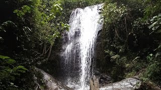 Cascada La Escondida [upl. by Lemhar]