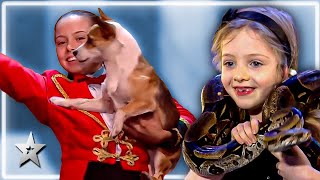 Adorable Animal Auditions from Around the World  Kids Got Talent [upl. by Kalindi]