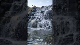 chewacla state park waterfall Auburn Alabama [upl. by Ormiston]