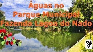 Águas no Parque Municipal Fazenda Lagoa do Nado [upl. by Ahtelat492]