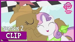 The Race Sisterhooves Social  MLP FiM HD [upl. by Gun]