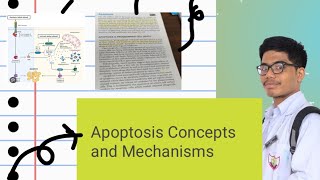 Apoptosis Part 2 Pathological Causes of Apoptosis Mechanisms of Apoptosis [upl. by Adele]