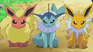 Vaporeon Jolteon amp Flareon AMV  We R Who We R [upl. by Duhl403]