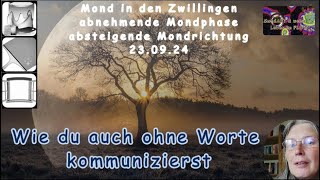 MondIMPULS für heute  wie du ohne Worte kommunizieren kannst [upl. by Siana701]