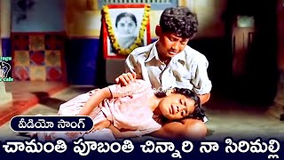 Gorintaku  Telugu Full Movie  Sobhan Babu Sujatha Savtri [upl. by Hendrix659]