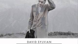 David Sylvian  Wheres Your Gravity [upl. by Reprah]