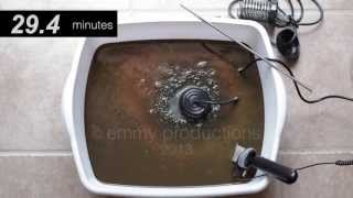 Detox Detoxification Foot Bath SCAM [upl. by Gassman]