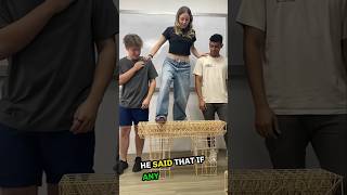 Build a Bridge Using Wooden Sticks shorts [upl. by Jahdai]