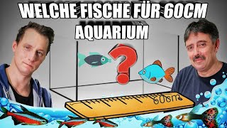 Passende Fische für ein 60 Liter Aquarium [upl. by Enirol305]