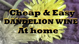 DANDELION WINE  Everything you need to know [upl. by Phebe]