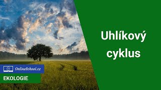 Cesty CO2 na Zemi  kam až dojde co způsobí a jak to ovlivnil člověk  38 Klimatická změna [upl. by Zak853]