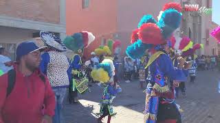 Danza Matlachines Los Guadalupanos De Romita Guanajuato Fiestas Guadalupanas 2022 [upl. by Hsiri]