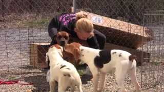 Free to Be Me  Puppy Mill Rescue Dogs Now Thriving [upl. by Korry316]