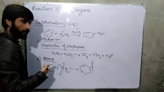 Sulphonation of Benzene with mechanism Organic Chemistry [upl. by Migeon]