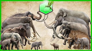 Elephants and Mammoths Size Comparison LİVİNG EXTİNCT [upl. by Nortna]