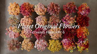 Coming Soon Floret Original Flowers [upl. by Leirvag]