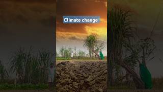 climate change ।।👍।। viralvideo viralshorts video music travel beach love comedy [upl. by Kabob53]