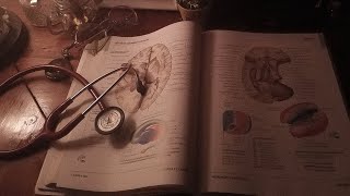 a playlist to romanticize studying medicine [upl. by Ycnaf]