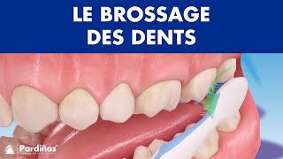 Comment brossage des dents correctement © [upl. by Arah725]