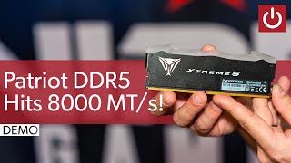 Patriot Demos DDR5 Hitting 8000 MTs [upl. by Noicnecsa]