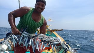 ஒரே நாளில் ஒரு லட்சம் மதிப்புள்ள கோலாமீன்கள் கிடைத்ததுONEDAY FISHING IN ONELAKE WORTH KOLAFISH [upl. by Eisdnil]