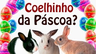 A Verdadeira Páscoa Cristã  Paródia de Coelhinho da Páscoa  PLAYBACK  HD [upl. by Ylluz]