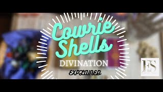 🔮🐚 Cowrie Shells  Divination Explained 🐚🔮✨ [upl. by Yehs617]